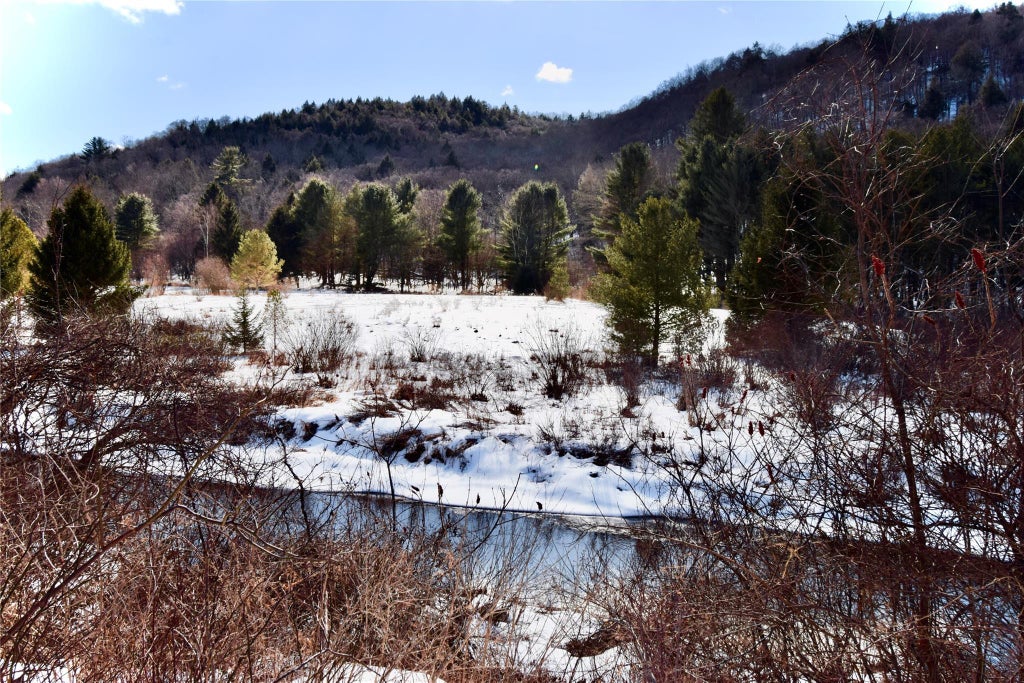 11 of 43 - 199 Gulf Road, Roscoe, NY