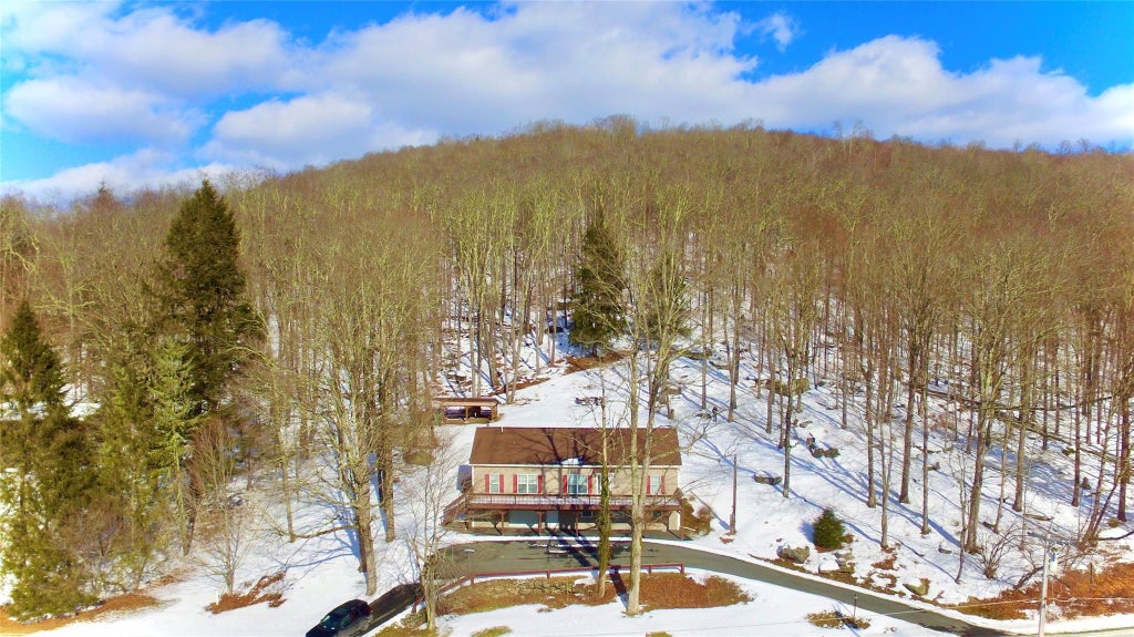 3 of 43 - 199 Gulf Road, Roscoe, NY