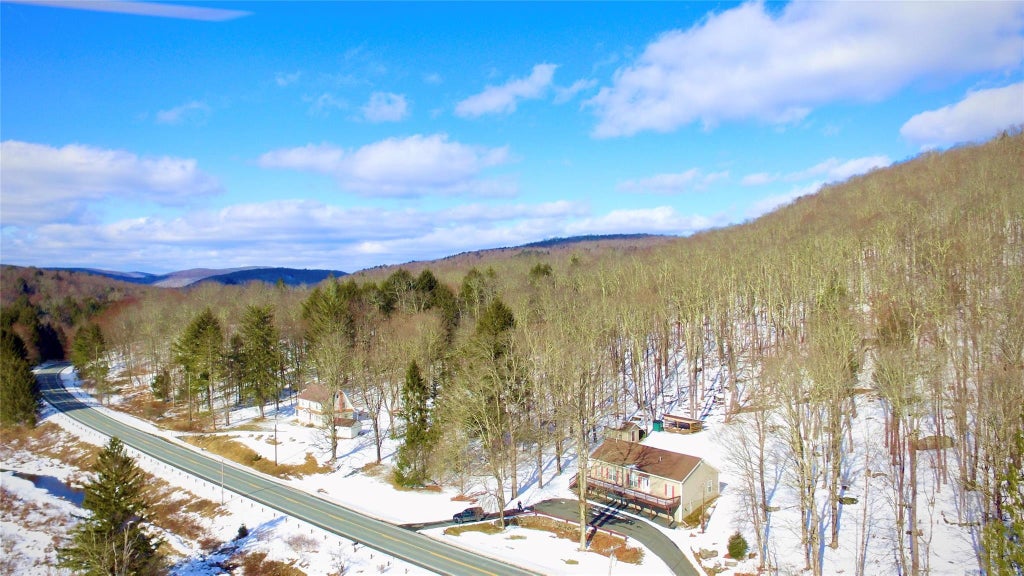 4 of 43 - 199 Gulf Road, Roscoe, NY