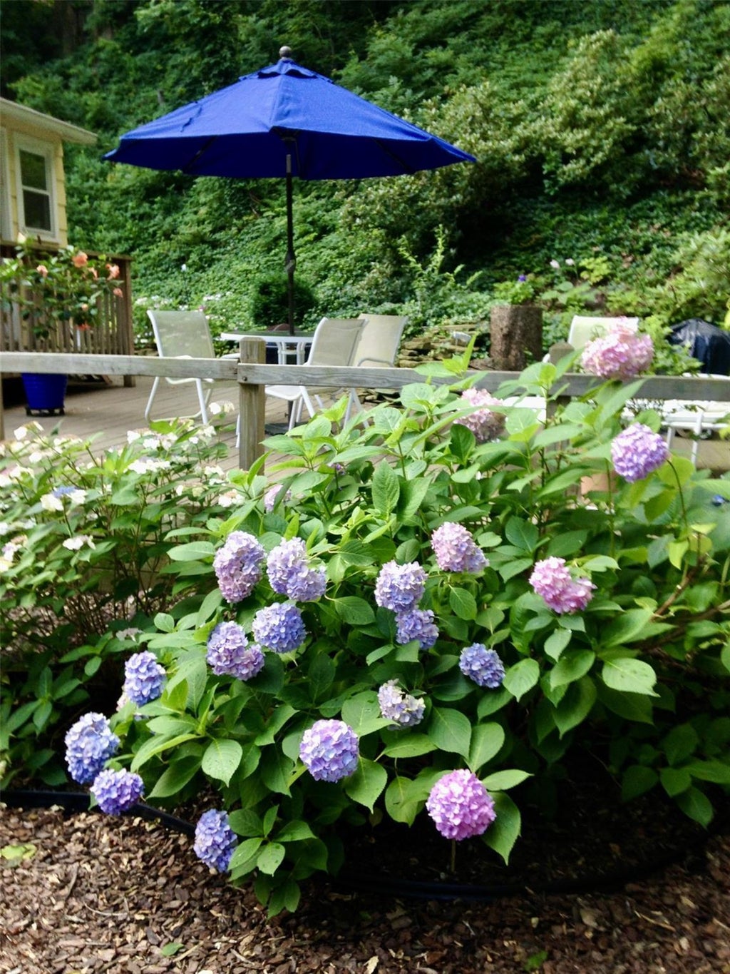 3 of 35 - 25 Beverly Road, Glen Cove, NY
