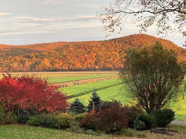 3 of 27 - 330 Pulaski Highway, Goshen, NY