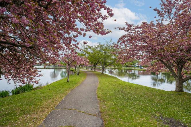37 of 39 - 76 Argyle Avenue, Babylon, NY