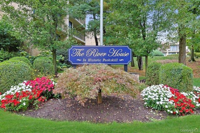 Photo of Listing #915678