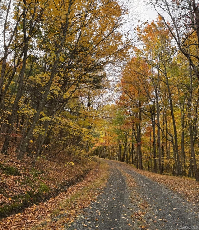 100 Knob Hill Road, Stanfordville