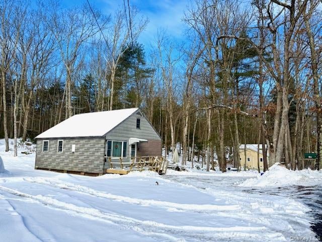 195 W Mohican Trail, Glen Spey