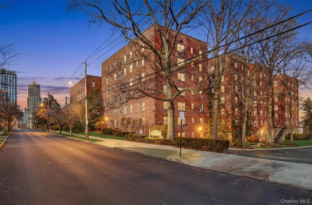 60 Locust Avenue # 214-a, New Rochelle