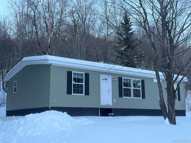 317 Debruce Road, Livingston Manor