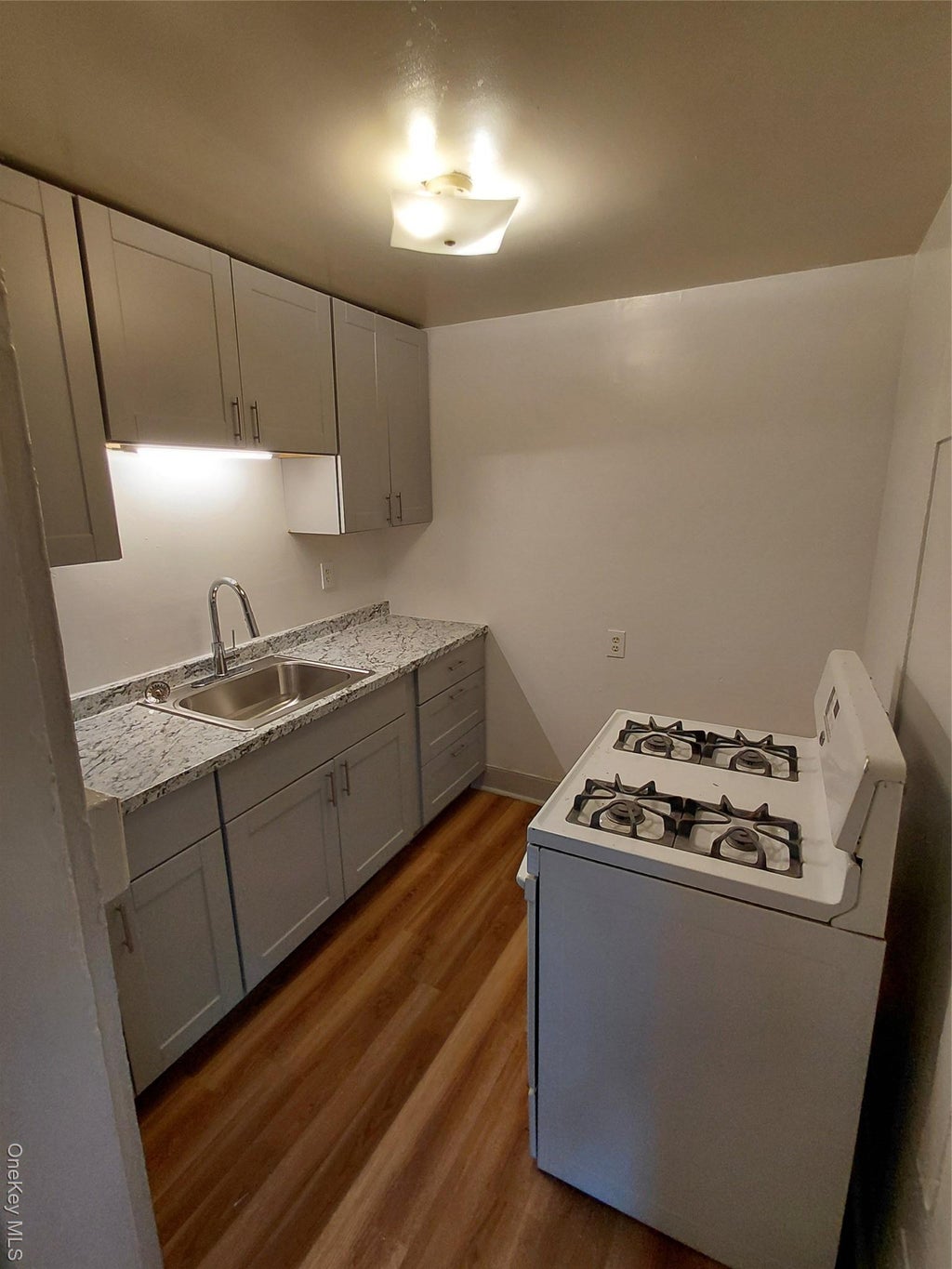 87 W Pierpont Street # 4, Kingston