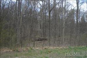 1 of 1 - David Drive, Pleasant Valley, NY