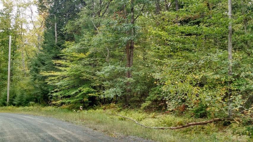 1 of 1 - Lot 71 Perry Pond Road, Narrowsburg, NY