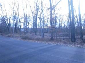 1 of 1 - Cardinal Road, Hyde Park, NY