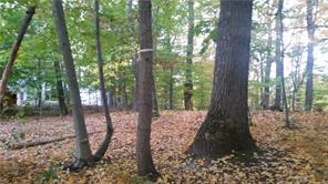 1 of 1 - Witte Drive, Middletown, NY