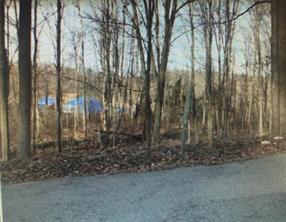 1 of 1 - 29 Carlson Court, Cold Spring, NY