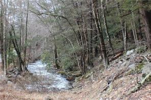 1 of 1 - Knobb Hill Road, Wurtsboro, NY