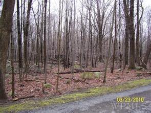 1 of 1 - 4 Miller Hill Woods Road, Carmel, NY