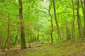 1 of 1 - 01 Country Hill Lane, Cold Spring, NY