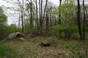 1 of 1 - Youngblood Road, Montgomery, NY