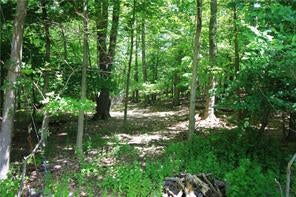 1 of 1 - Watermelon Hill Road, Mahopac, NY