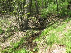 1 of 1 - Hessinger Lare Road, Jeffersonville, NY