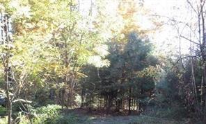 1 of 1 - 307 Route 209, Port Jervis, NY