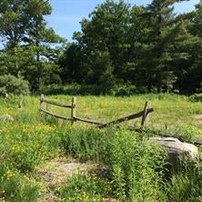 1 of 1 - Wurtsboro Mountain Road, Wurtsboro, NY