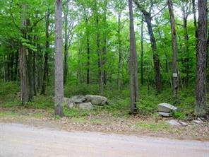 1 of 1 - Hallenbach Road, Glen Spey, NY