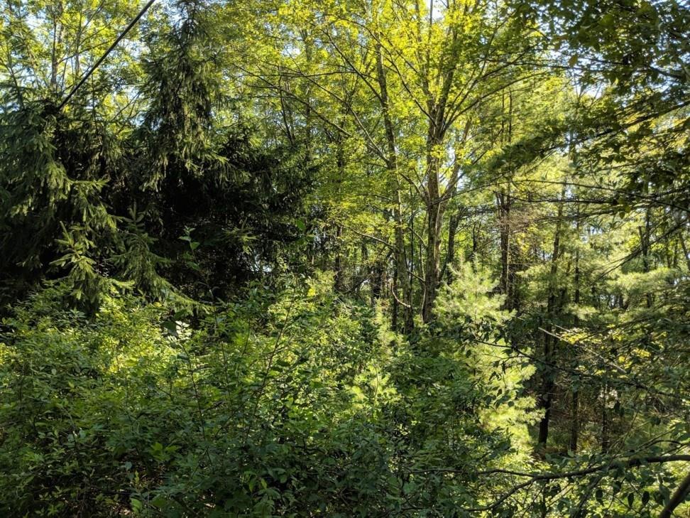 1 of 1 - 69 Old Plank Road, Sparrowbush, NY