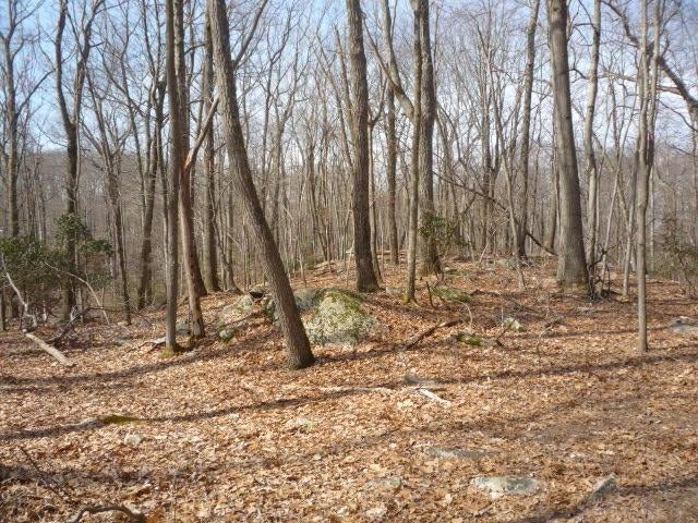 1 of 1 - 1310 Route 35, Lot 2, South Salem, NY