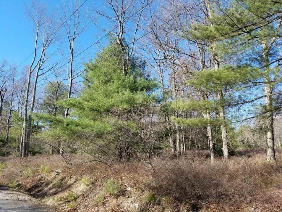 1 of 1 - Kalin Weber Road, Glen Spey, NY