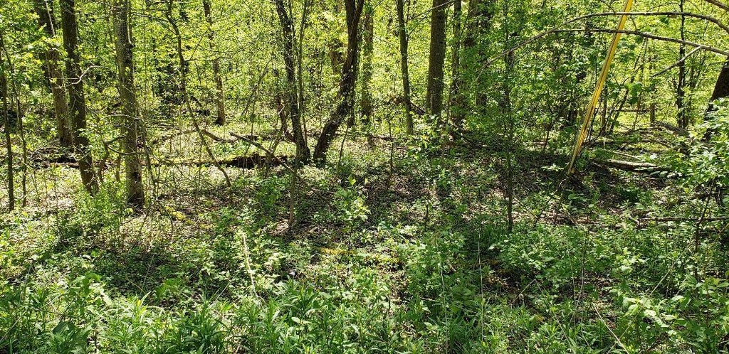 1 of 1 - Park Drive, Livingston Manor, NY