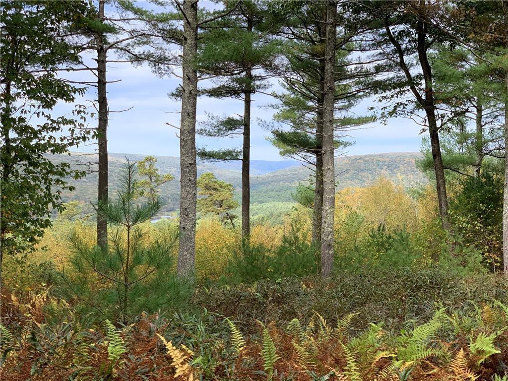 1 of 1 - Eagle View, Narrowsburg, NY