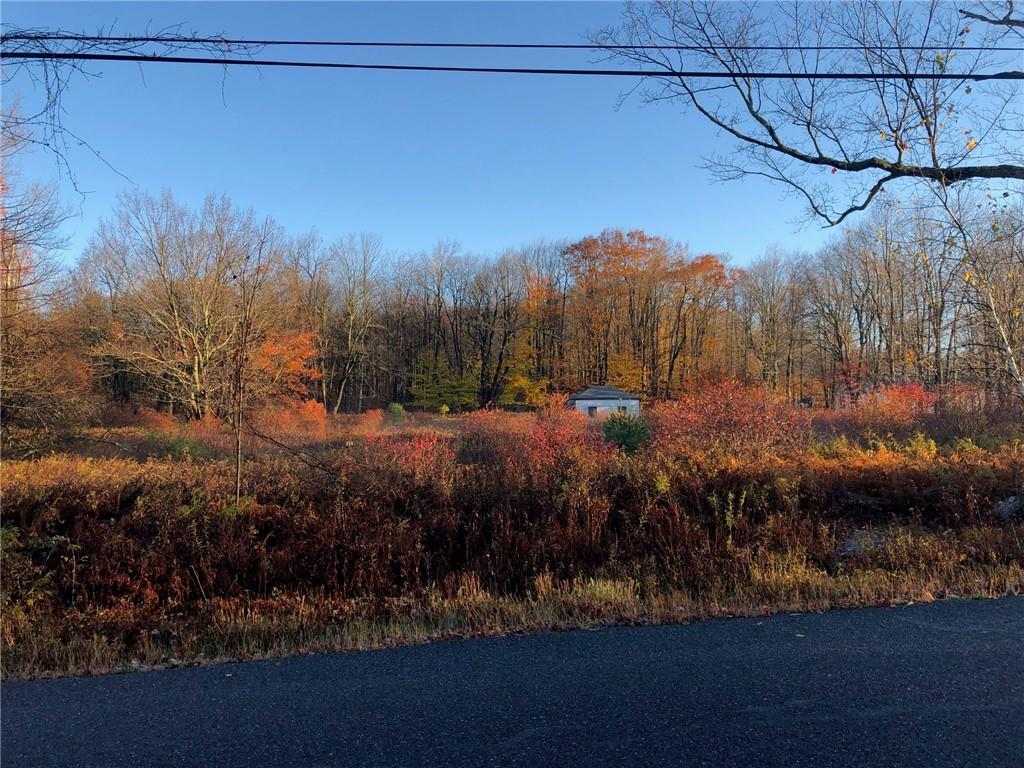 1 of 1 - 91 Whittaker Road, Monticello, NY