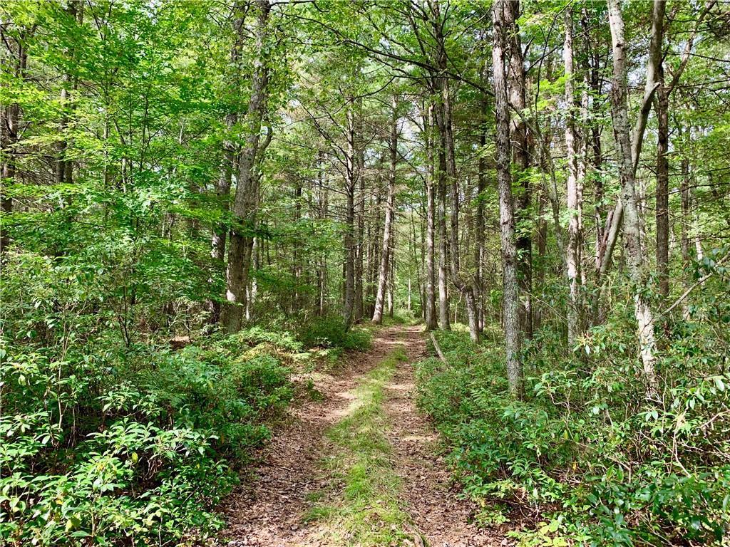 1 of 1 - Lot 11 Brook Drive, Narrowsburg, NY