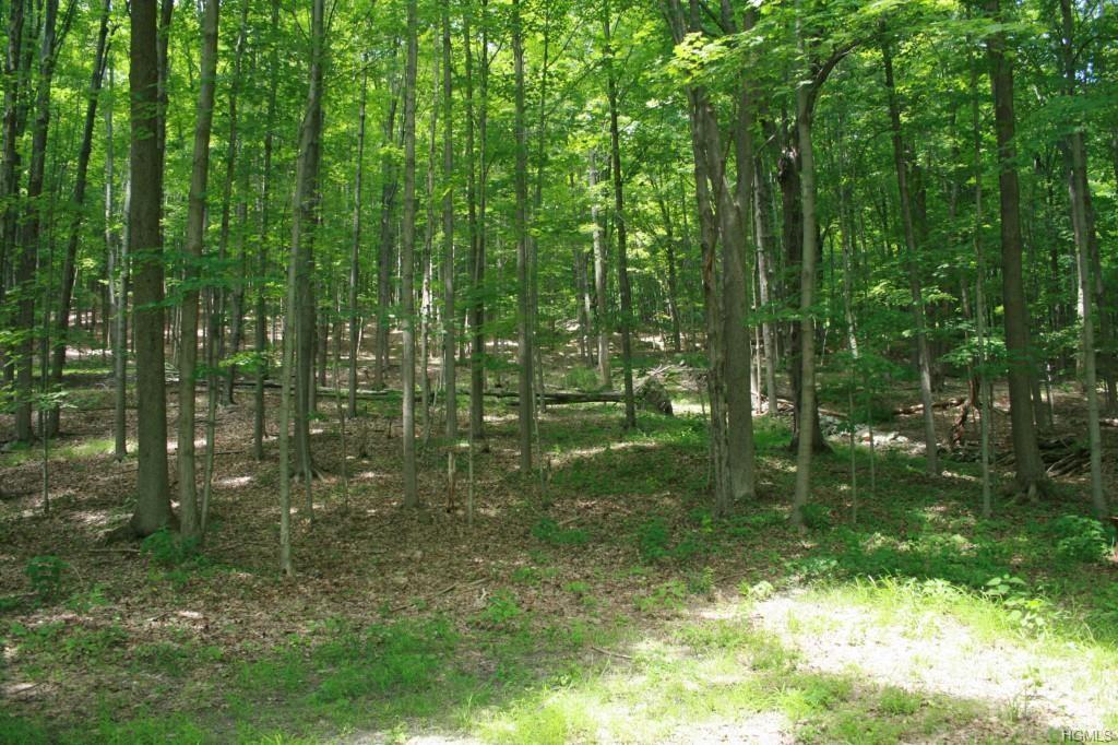 1 of 1 - Lot #1 Old Mountain Road, Otisville, NY