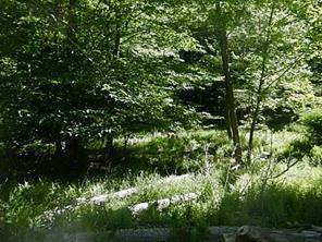 1 of 1 - Dingle Daisy Road, Monticello, NY