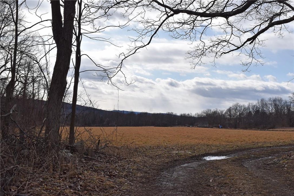 1 of 1 - 107 Hobbs Lane, Clinton Corners, NY