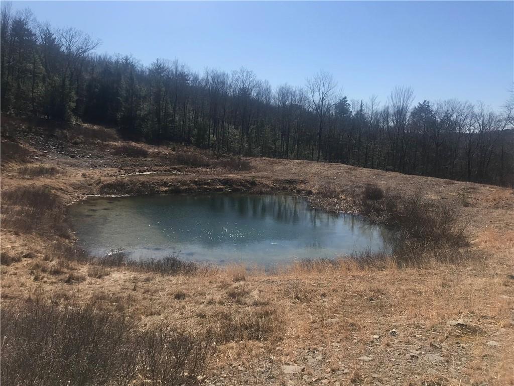 1 of 1 - 83 Boehmler Road, Sparrowbush, NY