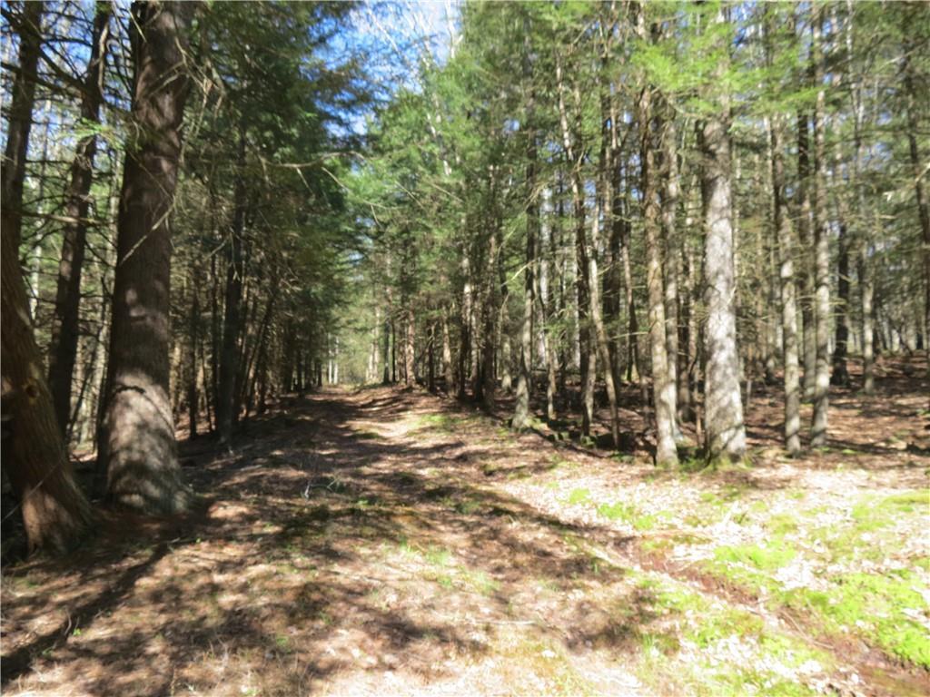 1 of 1 - Lot # 35 Bear Run, Narrowsburg, NY