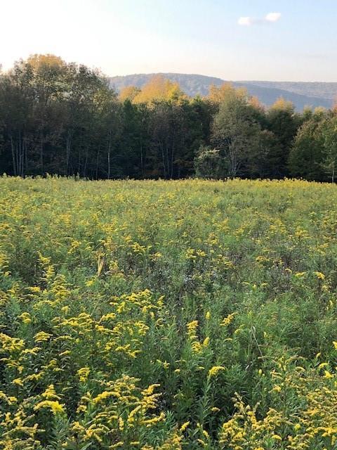 1 of 1 - Dietz Road, Jeffersonville, NY