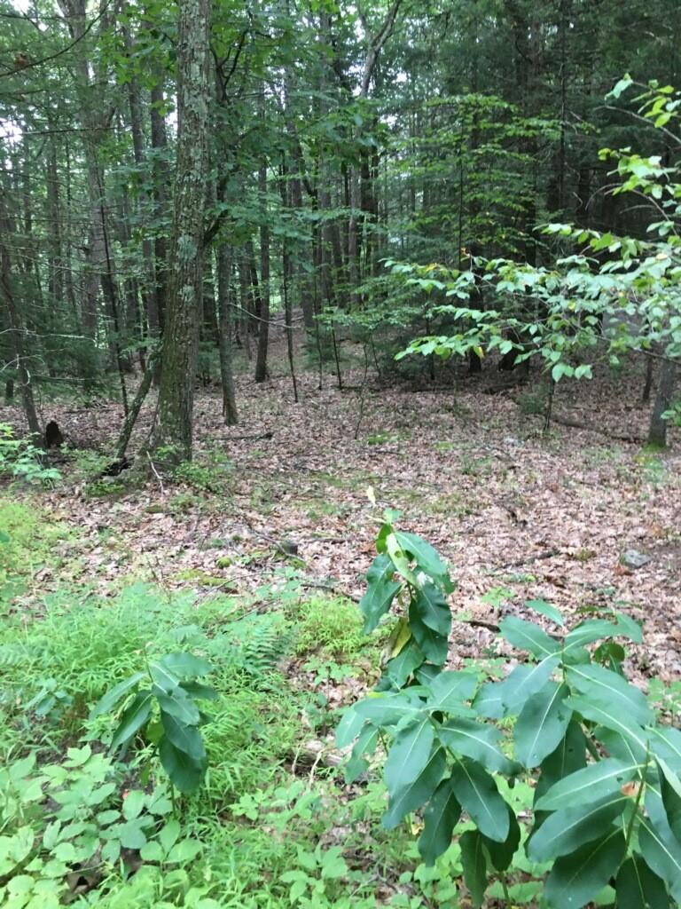 1 of 1 - Hickman Terrace, Wurtsboro, NY