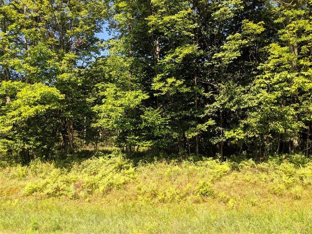 1 of 1 - Blackberry Lake Road, Jeffersonville, NY