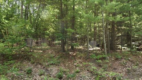 1 of 1 - 275 Wilson Road, Sparrowbush, NY