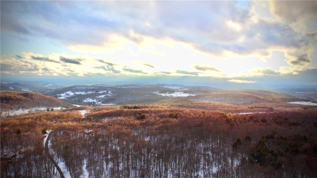 1 of 1 - Lot 1 Buck Brook Tr10 Road, Roscoe, NY