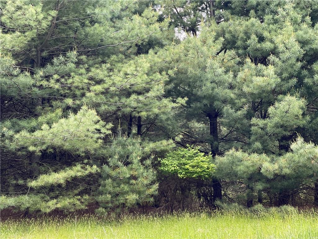 1 of 1 - Co Road 22, Narrowsburg, NY