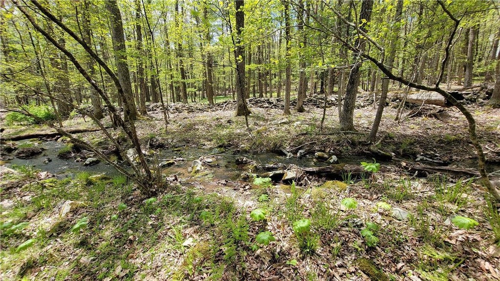 1 of 1 - Lot 5 Woods Road, Yulan, NY
