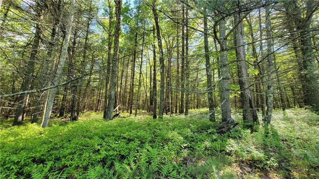 1 of 1 - 292 Proctor Road, Glen Spey, NY