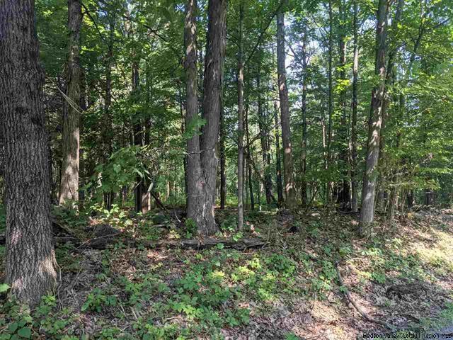 1 of 1 - Old Kings Highway, Stone Ridge, NY