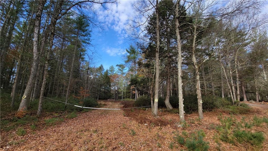 1 of 1 - Lot 61 Perry Pond, Narrowsburg, NY
