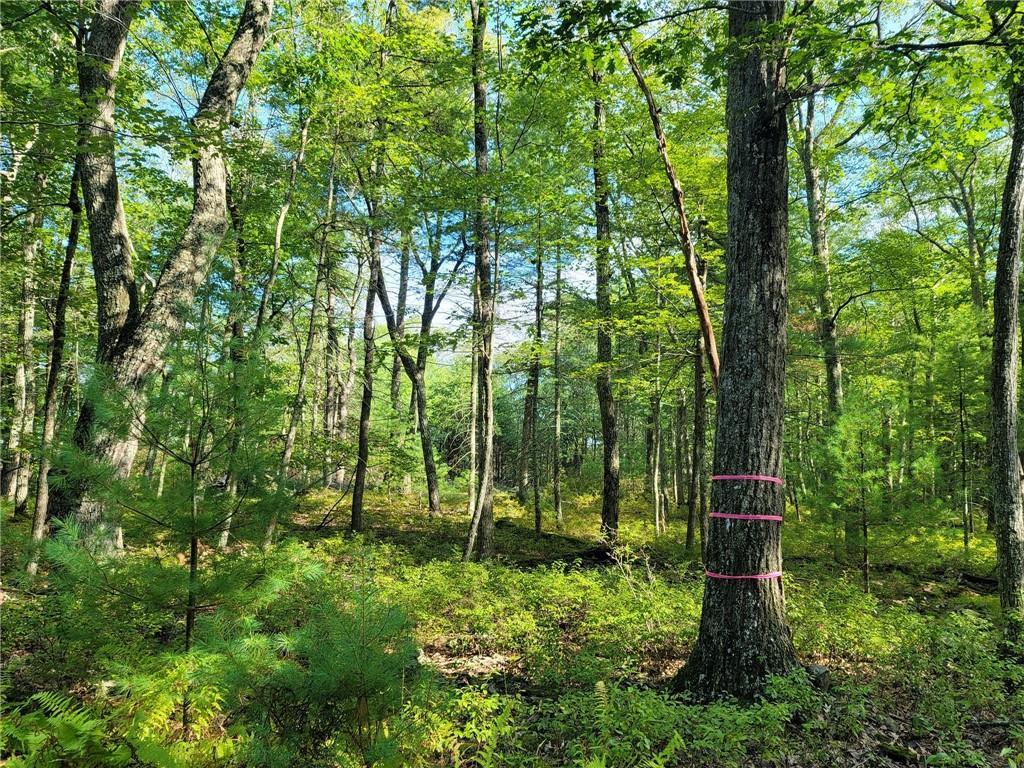 1 of 1 - Gregory Road, Glen Spey, NY