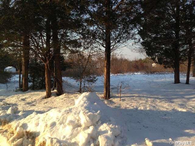 1 of 1 - Eugene St., Melville, NY
